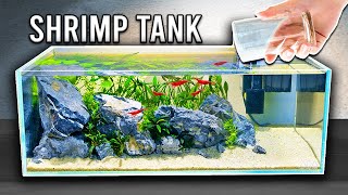 Beautiful amp Easy Planted Tank For Shrimp Step by Step [upl. by Anne-Marie390]