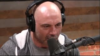 Joe Rogan  Everything is Connected [upl. by Belier]