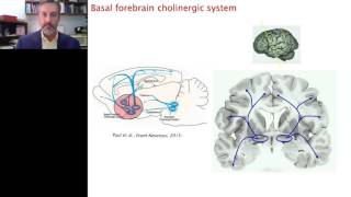 Jim Fadel  The OrexinHypocretin System in Aging and Cognition [upl. by Uv]