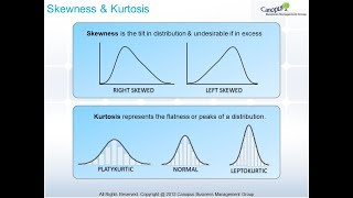 Skewness and Kurtosis [upl. by Sower]