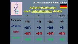 Deutsch lernen Adjektivdeklination nach unbestimmtem Artikel [upl. by Nagle]