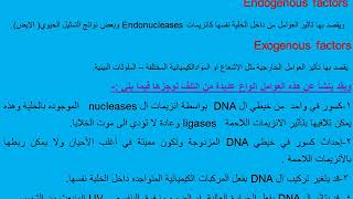 Mechanisms of DNA repair طرق اصلاح والتئام الدنا اد جمال حسان [upl. by Eikram]