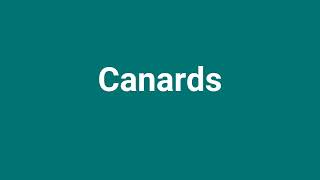 Canards Meaning and Pronunciation [upl. by Annaierb699]