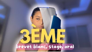 LA 3ÈME stage brevet blanc oralbrevet JE VOUS DIS TOUT CONSEILS [upl. by Aneleve365]