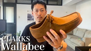 【Clarks】近年流行ってるワラビー買ってみたら良すぎて沼にハマりました【Wallabee  クラークス】 [upl. by Odlamur957]