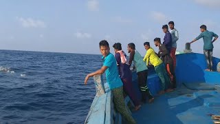 Lakshadweep Sea Fishing [upl. by Divadnhoj176]