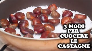 3 MODI PER CUOCERE LE CASTAGNE  Come cucinare le castagne [upl. by Arturo]