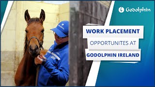 🇮🇪 Godolphin Ireland work experience opportunities [upl. by Ardnasak]