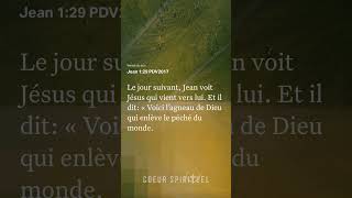 jean1v29 versetdujour bible coeurspirituel parolededieu foi dieu shorts [upl. by Sasnak]