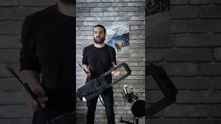 Miracle Of Sound  Valhalla Calling tagelharpaviolin cover tagelharpa talharpa scandinavia [upl. by Aratahs14]