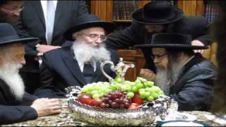 Rabbi Nusen Tzvi Finkel visits Satmar Rebbe [upl. by Atlanta]