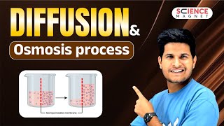 Diffusion and Osmosis process explained neerajsir sciencemagnet [upl. by Clovah]