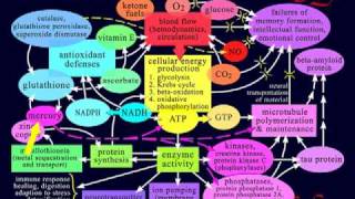 Alzheimers Reversal 6 of 9 [upl. by Grishilda]