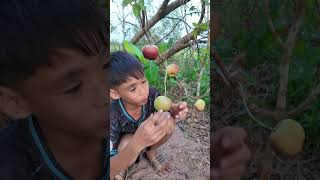 Ăn táo có nhiều nước  Eating apples has a lot of water shorts [upl. by Silsbye]