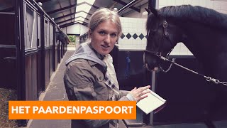 Alles over het paardenpaspoort  PaardenpraatTV [upl. by Narbig]