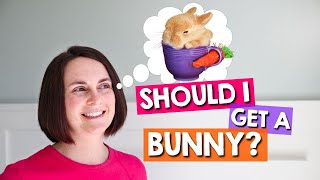 Watch BEFORE Getting a Pet Rabbit Complete Guide [upl. by Nauwaj]