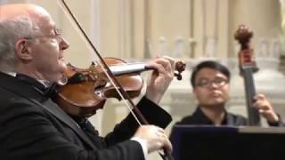 Antonio Vivaldi – Violin Concerto in gminor RV 317 [upl. by Arquit]