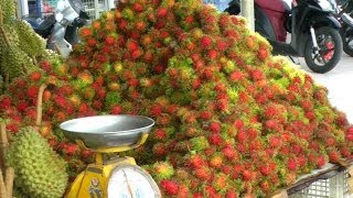 A Rambutan  Lychee Fruit Comparison  Nephelium lappaceum [upl. by Ened680]