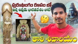 🕉️ Gudimallam Temple  Ancient Mysteries  Indias First Shiva Temple 🌟 [upl. by Aridatha]