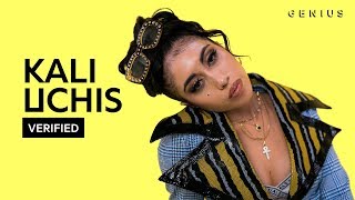 Kali Uchis quotAfter The Stormquot Official Lyrics amp Meaning  Verified [upl. by Ricard]