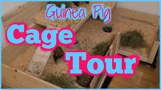 Guinea Pig Cage Tour  DIY Cage Feb 2015 [upl. by Gilba]