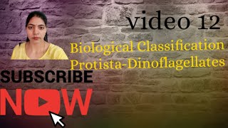 Biological Classification l protistaDinoflagellates l NCERT NEET Biology Class 11 l [upl. by Yemar486]