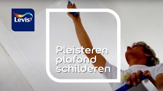 Pleisteren plafond schilderen 8 stappen amp tips  Levis Lets Colour [upl. by Ainyt92]