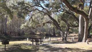 Withlacoochee State Forest  Hog Island Campground [upl. by Riccardo883]