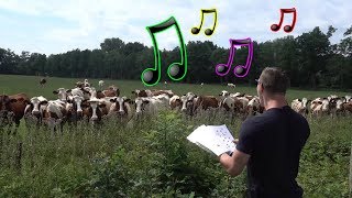 Live Burp Concert in Front of Cows [upl. by Burwell]