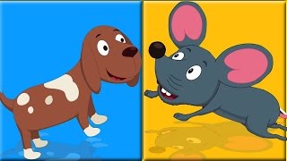 animales sonido canción  educativo vídeo  Kids Song  Sounds That Animals Make  Animal Sound Song [upl. by Acimad]