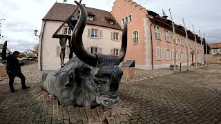 Breisach Beyond Borders Rhine Views and Historic Wonders [upl. by Aiciruam]