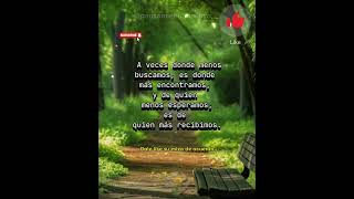 frases frasesdeinspiracion frasesmotivacion reflexion frasesmotivadoras [upl. by Arly]