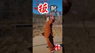 Shaolin Jianxiao Combat Demo Classic CloseCombat Kung Fu Techniques kungfu [upl. by Simpkins550]