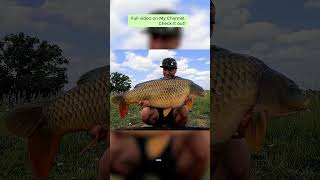 Berners HallBCAC Biggest Fish 34LB fishing carpfishingangling carper [upl. by Enid830]