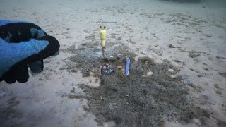 Okaloosa Island pier is free of trash after nearly 50 divers volunteer for pickup dive [upl. by Bolt]