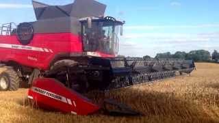 Brand New Massey Ferguson 9380 Delta combine on demonstration in the UK for the first time in wheat [upl. by Doris]