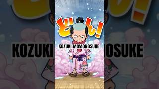 Kozuki Momonosuke Raja di Wano dan Faktanya facts anime onepiece [upl. by Corabelle]