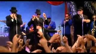 New Orleans  The Blues Brothers amp The Louisiana Gator Boys [upl. by Dyolf]