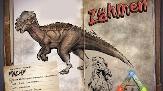 ARK‬ Survival Evolved GUIDEDeutsch  Pachy zähmen [upl. by Barny909]