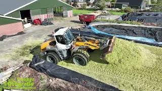 Maïsoogst 24  Wierda  Chopping Maize  Mais Häckseln Claas  Fendt  Liebherr [upl. by Cud]