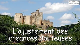 Lajustement des créances douteuses [upl. by Neelrihs]