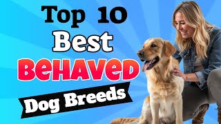 Top 10 Best Behaved Dog Breeds [upl. by Catharina]