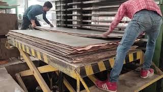 PLYWOOD FACTORY plywood plywood companiAsia No1 ply wood industry [upl. by Harias]