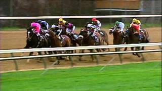 2000 Breeders Cup Classic [upl. by Sears199]