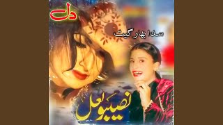 Jida Dil Tut Jaye [upl. by Barabbas]