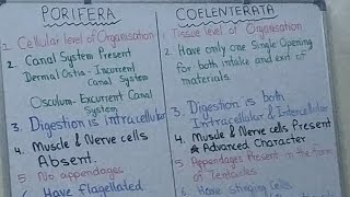 Differences between Porifera and CoelenterataporiferaCoelenterata [upl. by Ahsiatal]