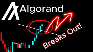 Algorand ALGO Crypto Coin Breaks Out [upl. by Knah]