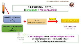 DETERMINACIÓN DE BILIRRUBINA SÉRICA [upl. by Nnylcaj953]