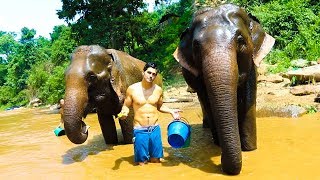 SPENDING A DAY WITH ELEPHANTS Incredible Experience [upl. by Talich688]