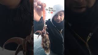 07122024 • EGING da Riva 🐙🎣 Coste Triestine fishing pescare pesca eging egingdariva [upl. by Eidissac]